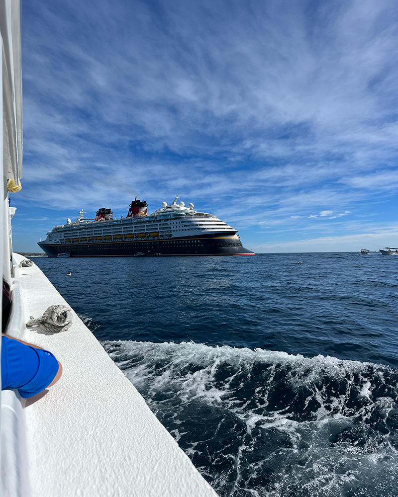Cruise ship in the ocean